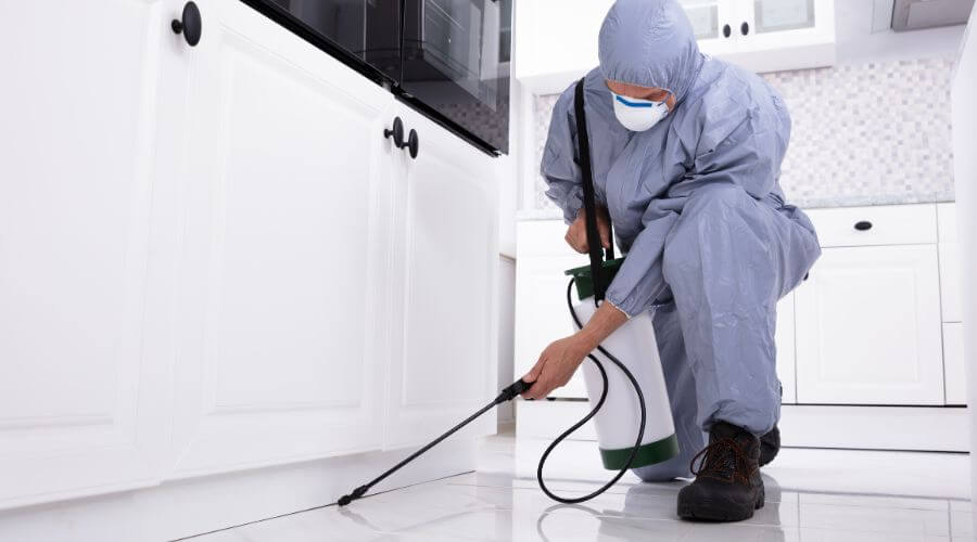 Professional bed bug heat treatment services in East Brookfield - Bed Bug Heat Treatment East Brookfield